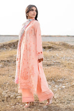 digibazar:product.image:66161