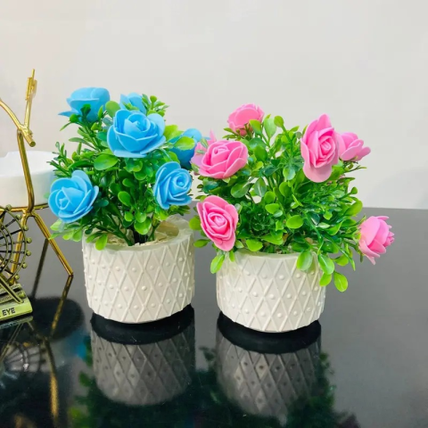 Pine Rose Flowers Mini Plant